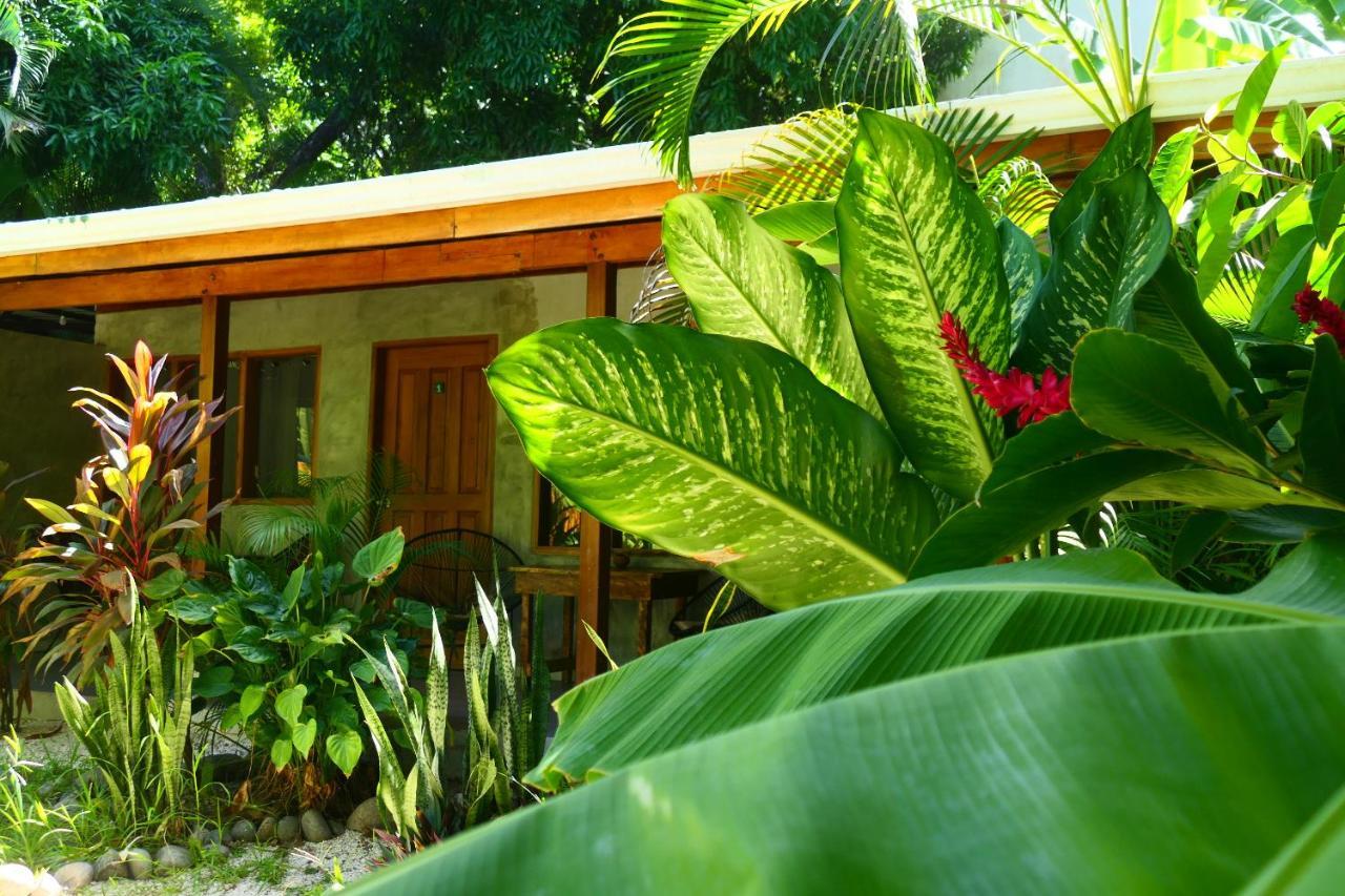 Cabinas Playa Surf Hostel Playa Santa Teresa  Экстерьер фото