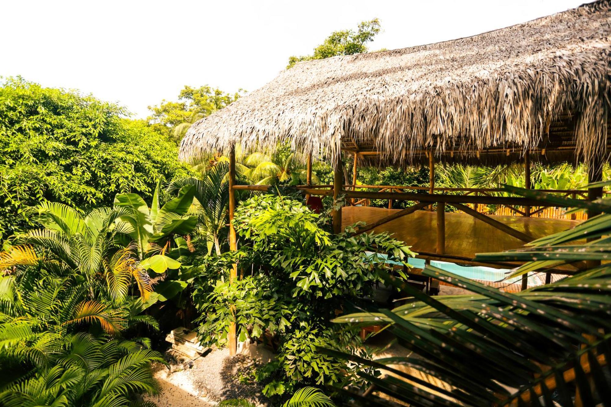 Cabinas Playa Surf Hostel Playa Santa Teresa  Экстерьер фото