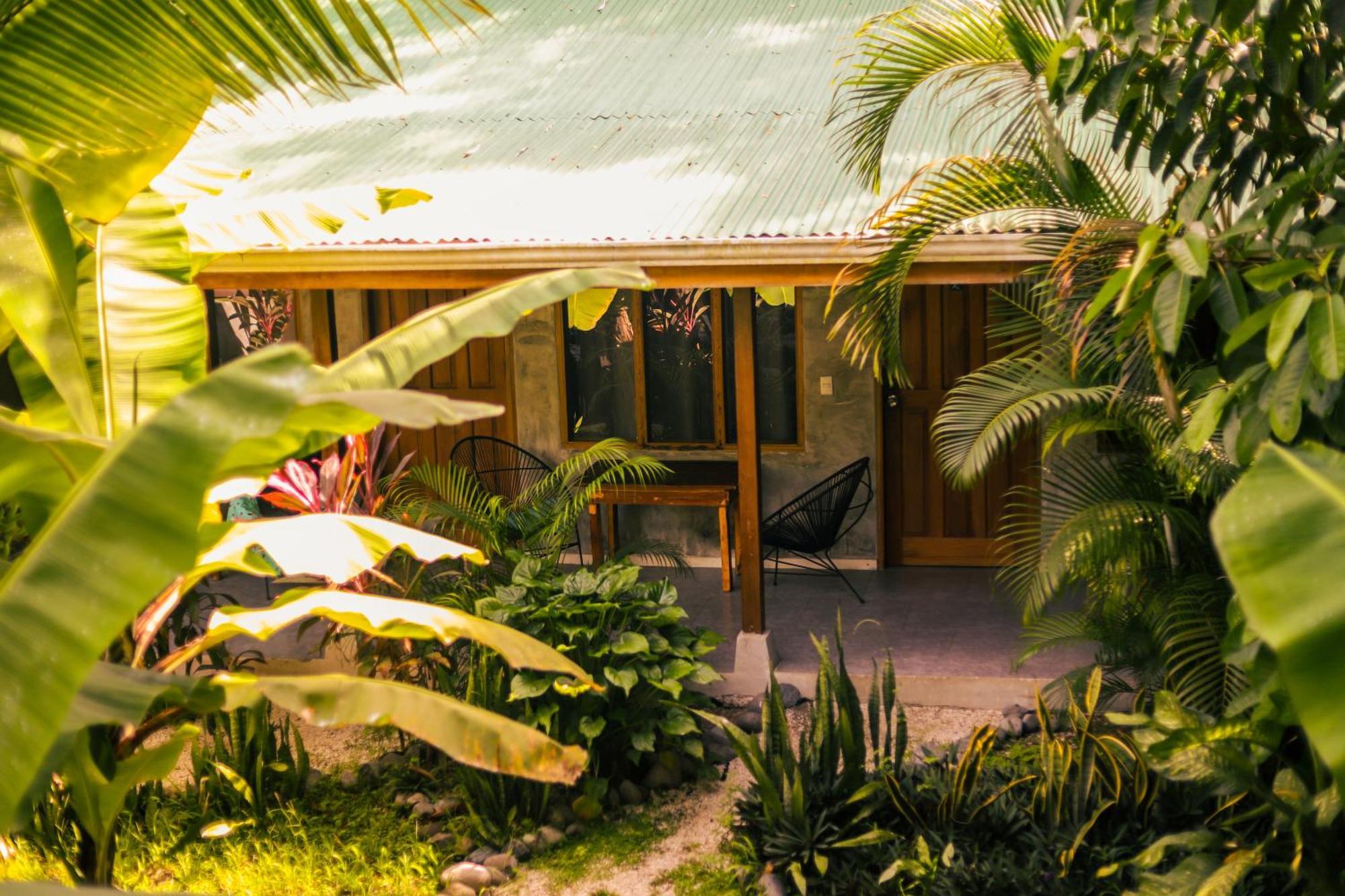 Cabinas Playa Surf Hostel Playa Santa Teresa  Экстерьер фото