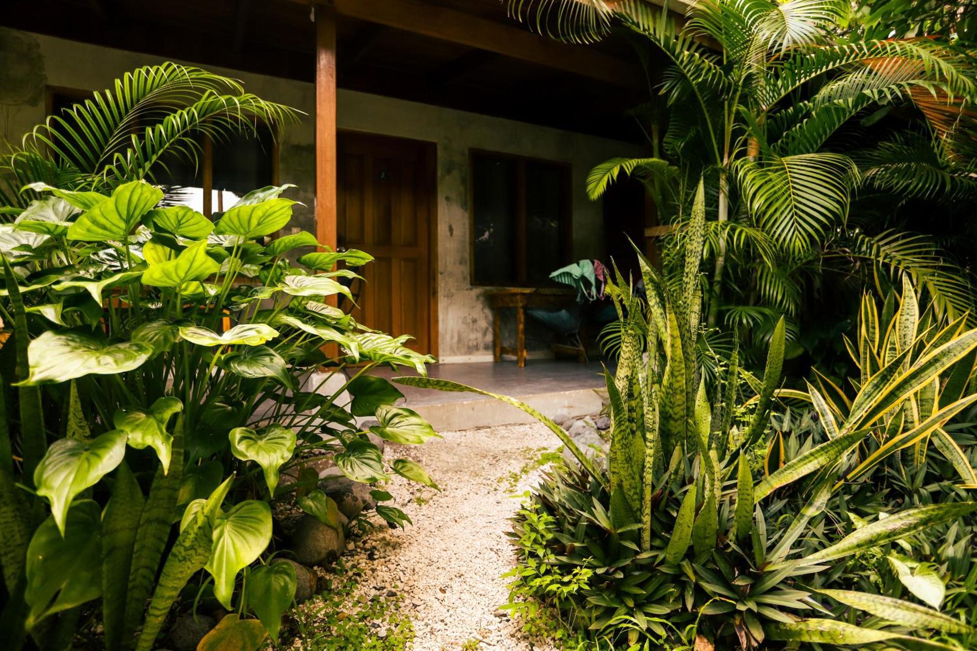 Cabinas Playa Surf Hostel Playa Santa Teresa  Экстерьер фото