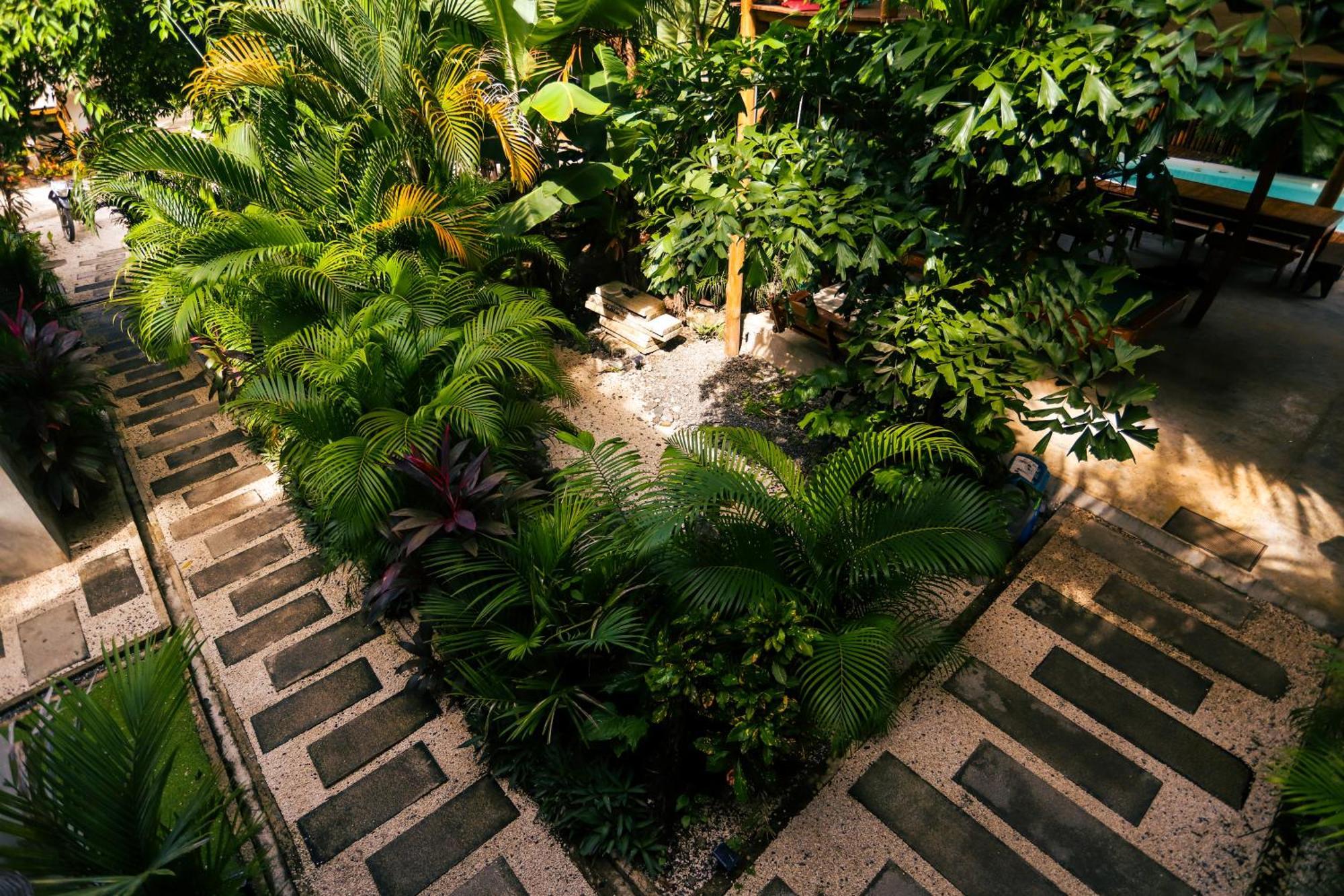 Cabinas Playa Surf Hostel Playa Santa Teresa  Экстерьер фото