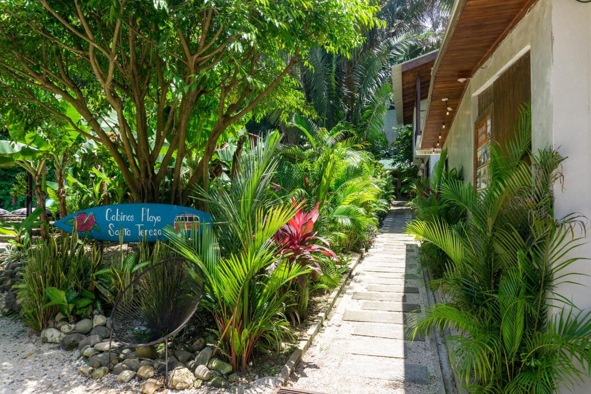 Cabinas Playa Surf Hostel Playa Santa Teresa  Экстерьер фото